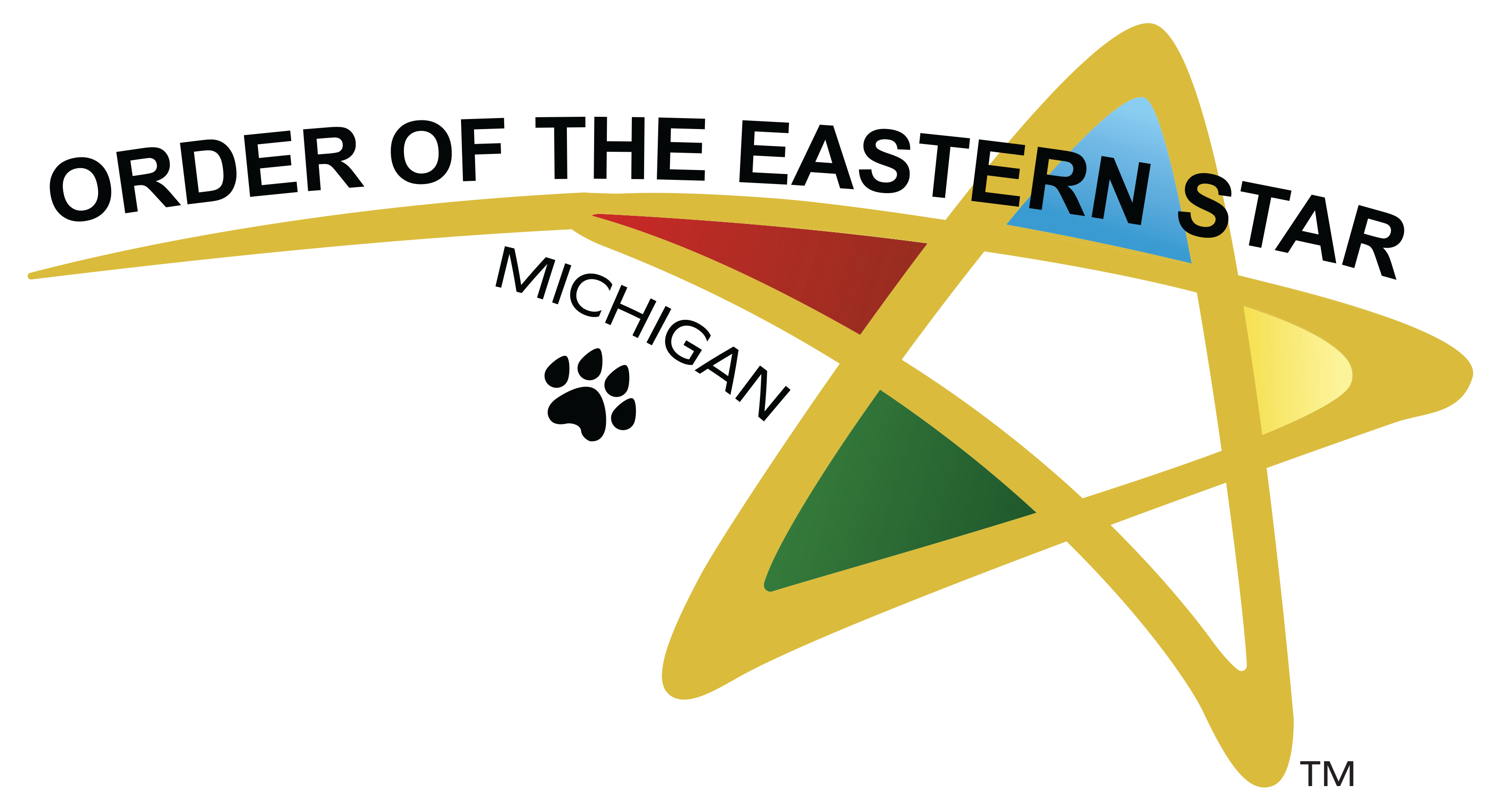 Michigan primary logo