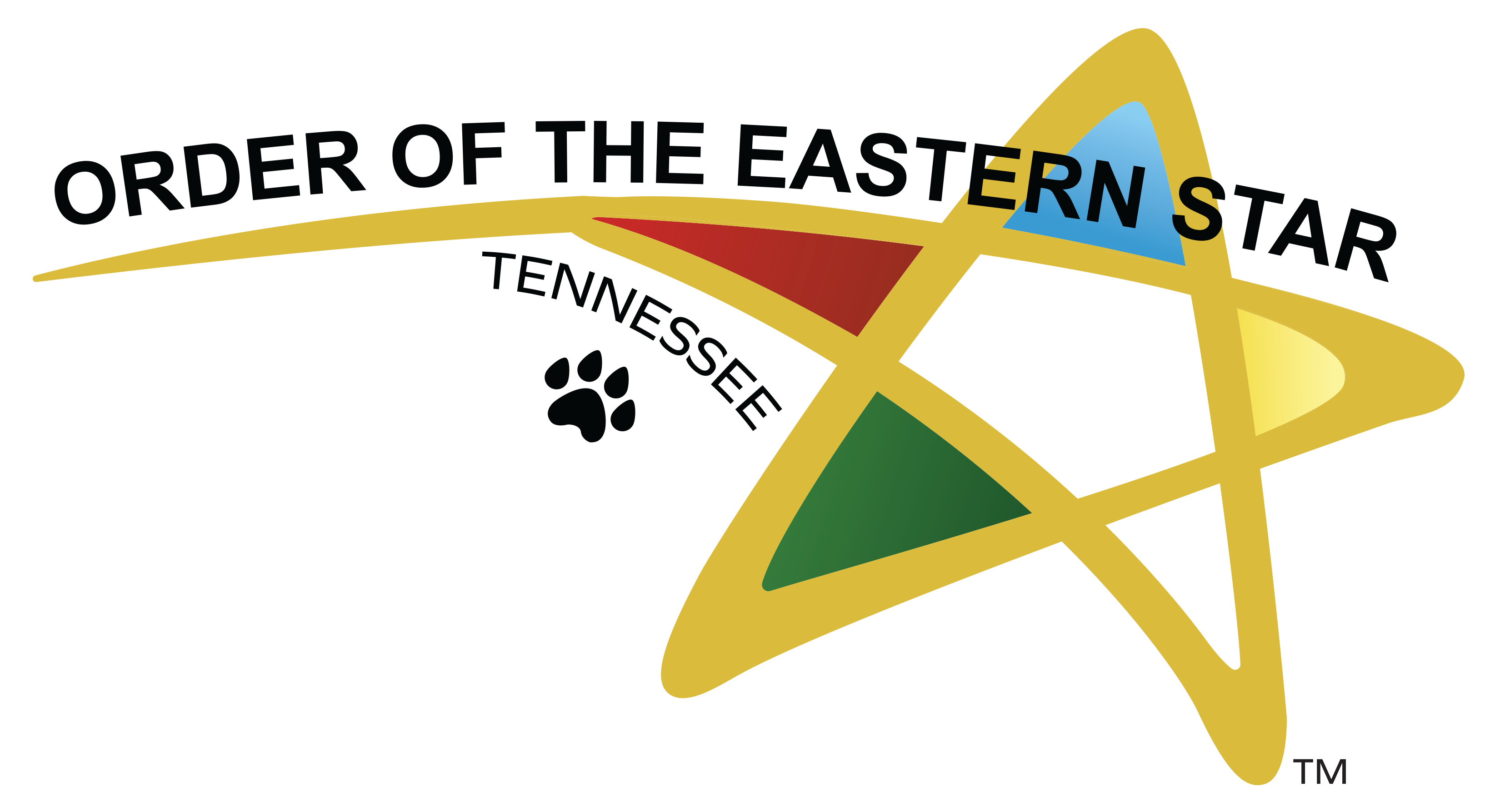 Tennessee primary logo