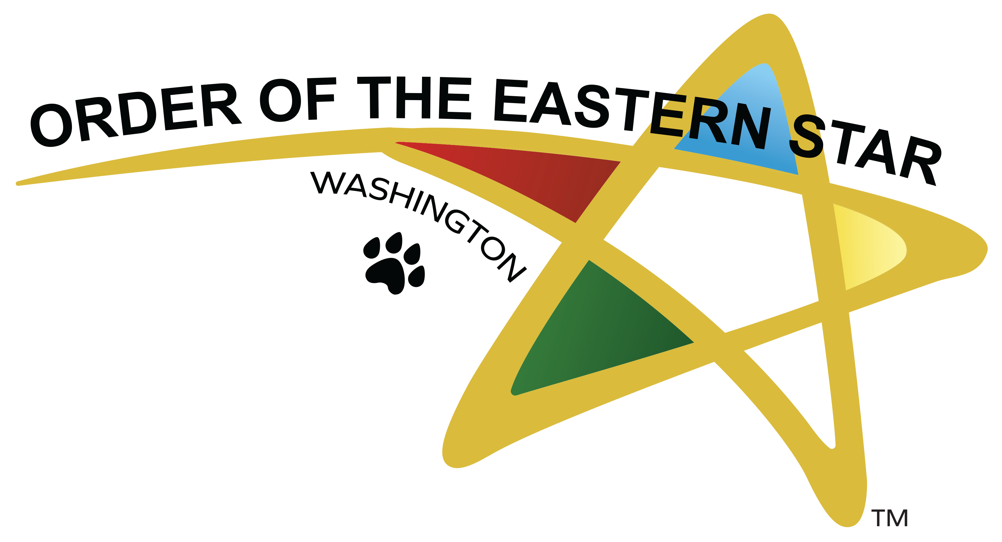 Washington primary logo